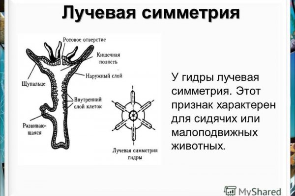 Ссылка на кракен kr2link co